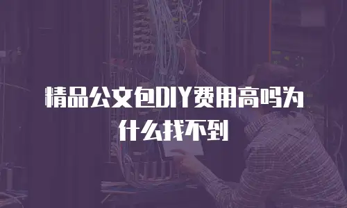 精品公文包DIY费用高吗为什么找不到