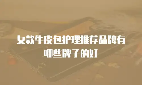 女款牛皮包护理推荐品牌有哪些牌子的好