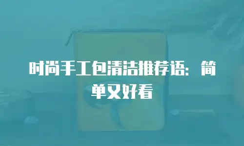 时尚手工包清洁推荐语：简单又好看