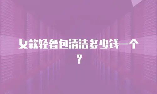 女款轻奢包清洁多少钱一个？