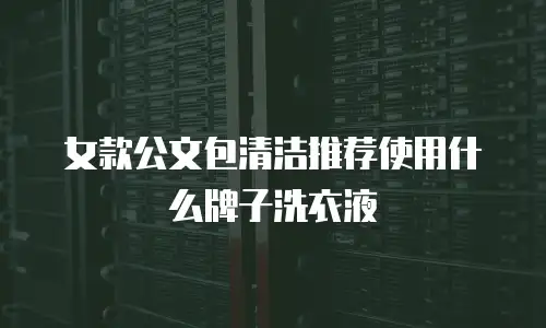 女款公文包清洁推荐使用什么牌子洗衣液