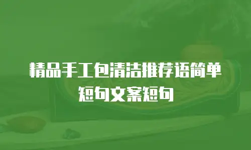 精品手工包清洁推荐语简单短句文案短句