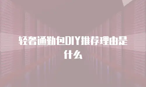 轻奢通勤包DIY推荐理由是什么