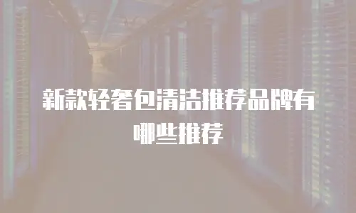 新款轻奢包清洁推荐品牌有哪些推荐