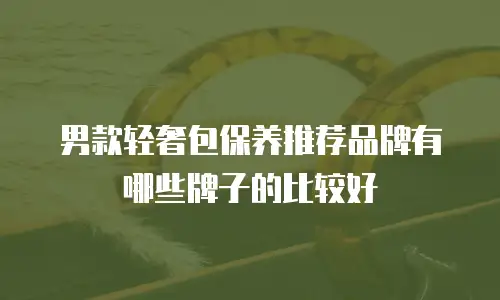 男款轻奢包保养推荐品牌有哪些牌子的比较好