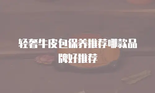 轻奢牛皮包保养推荐哪款品牌好推荐