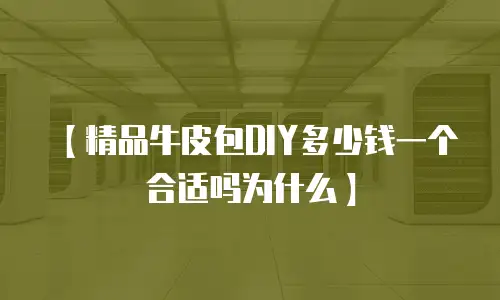 【精品牛皮包DIY多少钱一个合适吗为什么】
