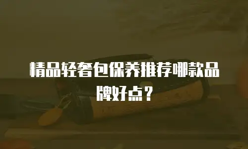 精品轻奢包保养推荐哪款品牌好点？