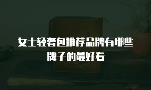 女士轻奢包推荐品牌有哪些牌子的最好看