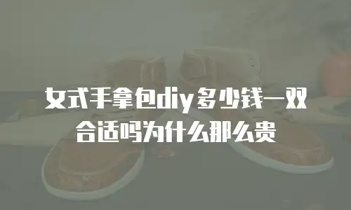 女式手拿包diy多少钱一双合适吗为什么那么贵