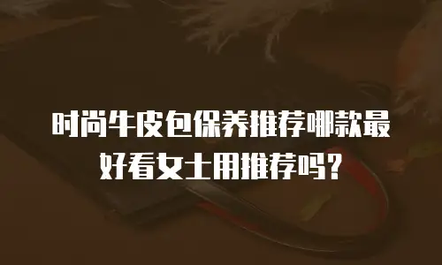 时尚牛皮包保养推荐哪款最好看女士用推荐吗？