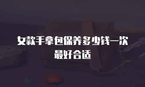 女款手拿包保养多少钱一次最好合适