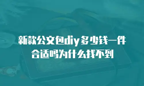 新款公文包diy多少钱一件合适吗为什么找不到