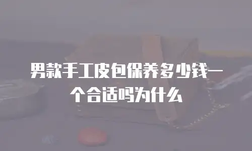 男款手工皮包保养多少钱一个合适吗为什么