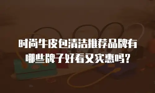 时尚牛皮包清洁推荐品牌有哪些牌子好看又实惠吗？