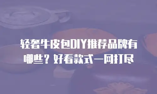 轻奢牛皮包DIY推荐品牌有哪些？好看款式一网打尽
