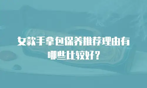 女款手拿包保养推荐理由有哪些比较好？