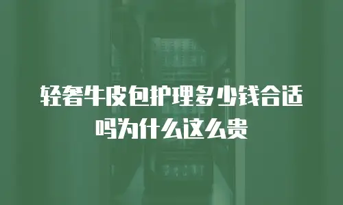 轻奢牛皮包护理多少钱合适吗为什么这么贵
