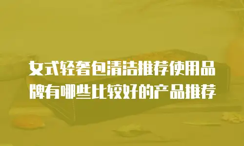 女式轻奢包清洁推荐使用品牌有哪些比较好的产品推荐