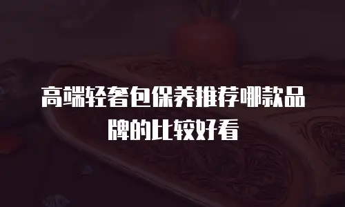 高端轻奢包保养推荐哪款品牌的比较好看
