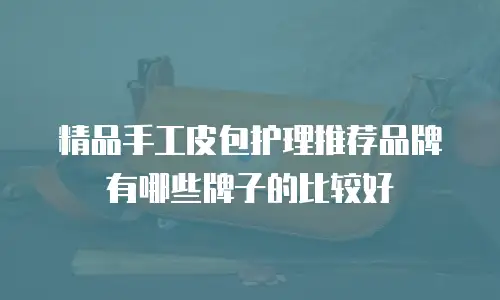 精品手工皮包护理推荐品牌有哪些牌子的比较好