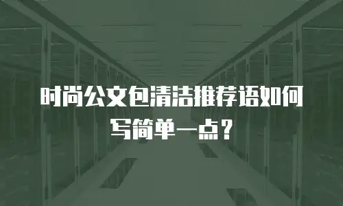 时尚公文包清洁推荐语如何写简单一点？