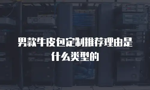 男款牛皮包定制推荐理由是什么类型的