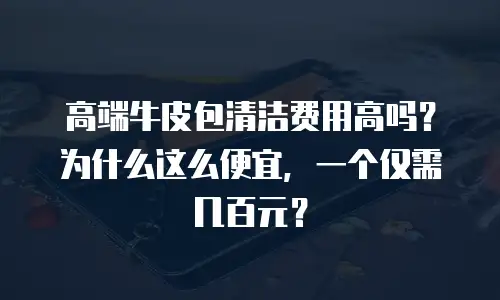 高端牛皮包清洁费用高吗？为什么这么便宜，一个仅需几百元？