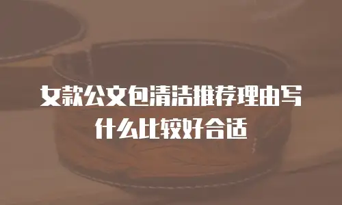 女款公文包清洁推荐理由写什么比较好合适