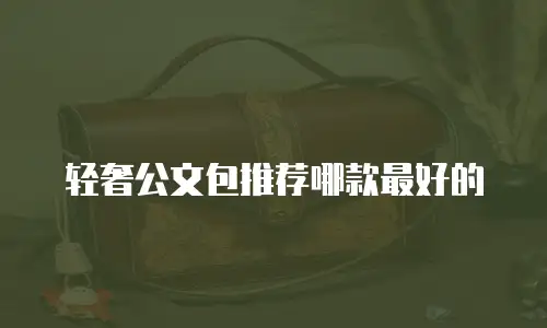 轻奢公文包推荐哪款最好的