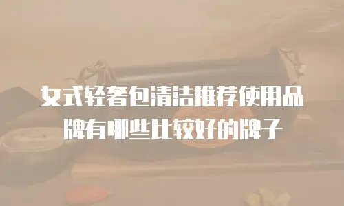 女式轻奢包清洁推荐使用品牌有哪些比较好的牌子