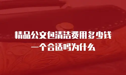 精品公文包清洁费用多少钱一个合适吗为什么