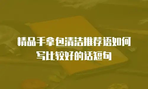 精品手拿包清洁推荐语如何写比较好的话短句