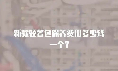 新款轻奢包保养费用多少钱一个？