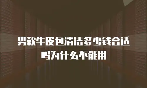 男款牛皮包清洁多少钱合适吗为什么不能用
