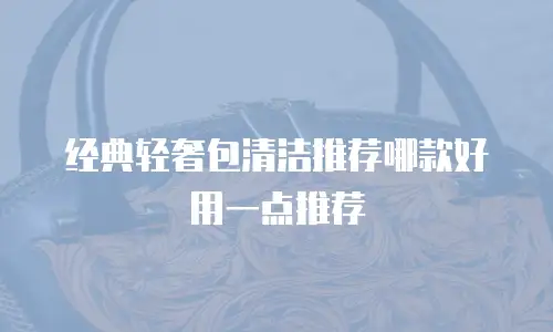 经典轻奢包清洁推荐哪款好用一点推荐