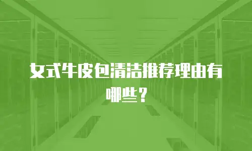 女式牛皮包清洁推荐理由有哪些？