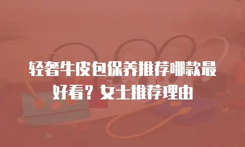 轻奢牛皮包保养推荐哪款最好看？女士推荐理由