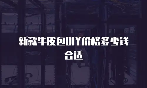 新款牛皮包DIY价格多少钱合适