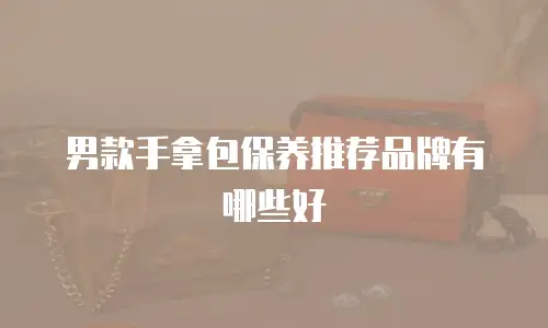 男款手拿包保养推荐品牌有哪些好