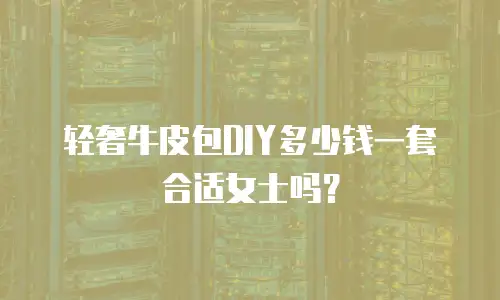 轻奢牛皮包DIY多少钱一套合适女士吗？