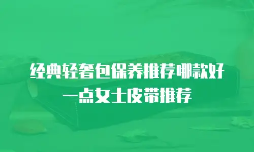 经典轻奢包保养推荐哪款好一点女士皮带推荐