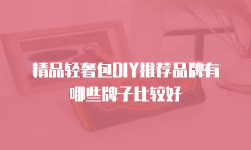 精品轻奢包DIY推荐品牌有哪些牌子比较好