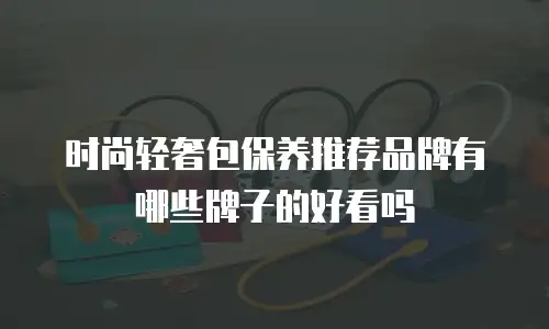 时尚轻奢包保养推荐品牌有哪些牌子的好看吗