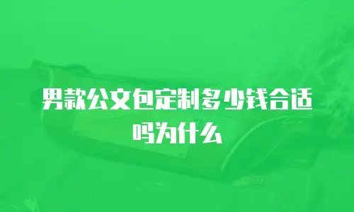 男款公文包定制多少钱合适吗为什么