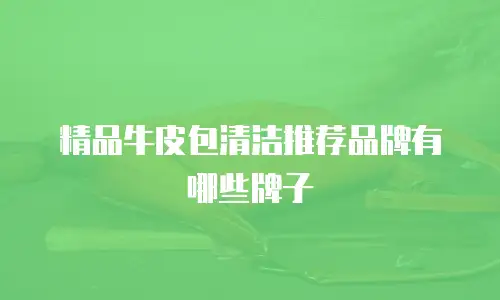 精品牛皮包清洁推荐品牌有哪些牌子