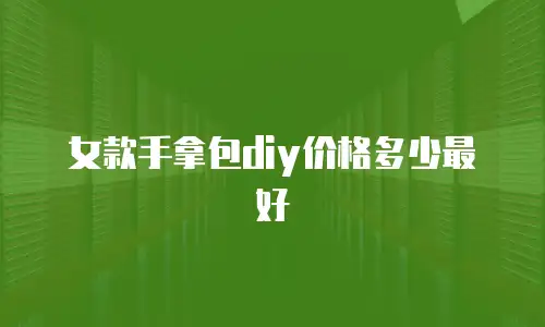 女款手拿包diy价格多少最好