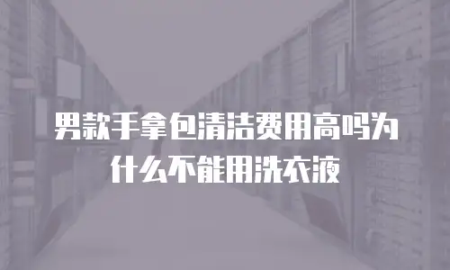 男款手拿包清洁费用高吗为什么不能用洗衣液