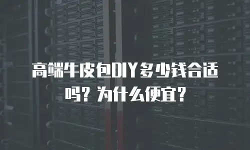 高端牛皮包DIY多少钱合适吗？为什么便宜？