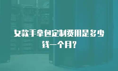女款手拿包定制费用是多少钱一个月？